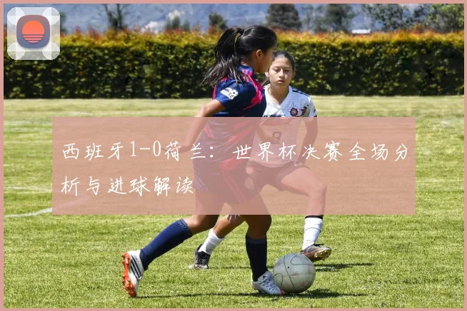 西班牙1-0荷兰：世界杯决赛全场分析与进球解读